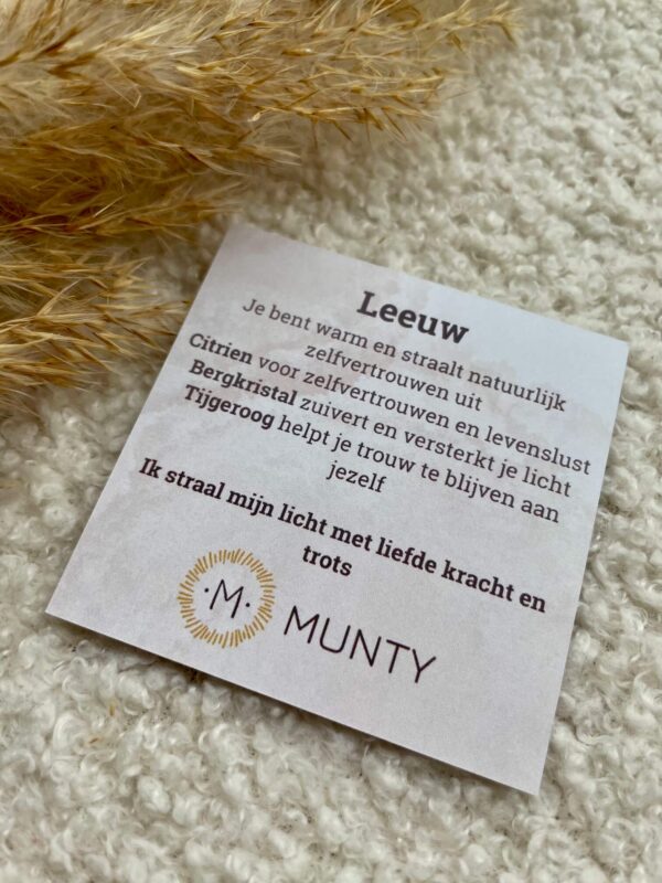 Uitleg over de werking van Bergkristal, Citrien en Tijgeroog voor Leeuw