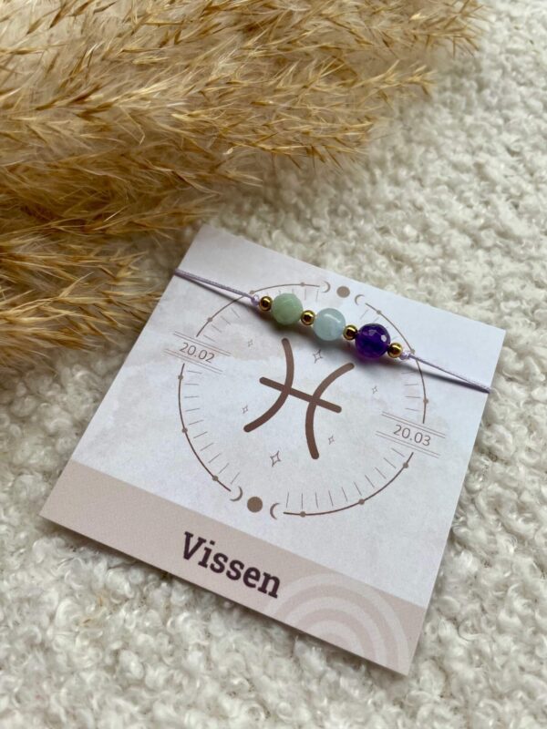 Geboortesteen armbandje Vissen op kaartje met naam en sterrenbeeld